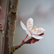 Illustration for article titled 21 Stupendous Photos of Spring